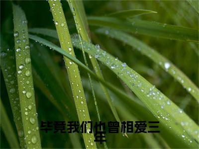 毕竟我们也曾相爱三年（司寒楠苏佳晴）全文免费大结局小说-毕竟我们也曾相爱三年全文最新章节阅读