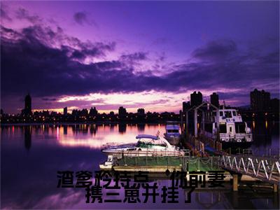 渣爹矜持点，你前妻携三崽开挂了（陆夕柠）全文免费阅读无弹窗大结局_渣爹矜持点，你前妻携三崽开挂了免费阅读全文大结局