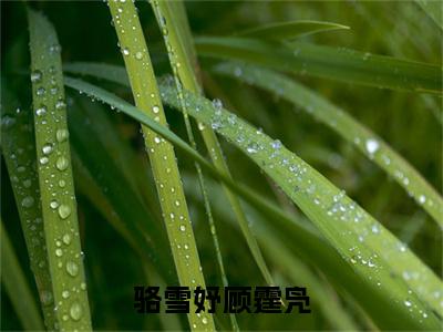 骆雪妤顾霆凫（骆雪妤顾霆凫）全文免费阅读无弹窗大结局_（骆雪妤顾霆凫免费阅读全文大结局）最新章节列表