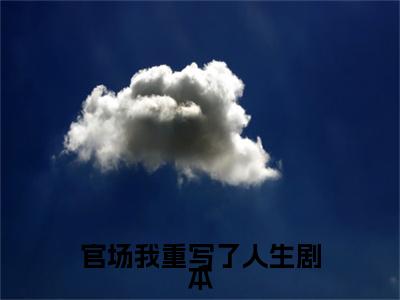 官场我重写了人生剧本（周扬）全文免费阅读无弹窗大结局_周扬_笔趣阁