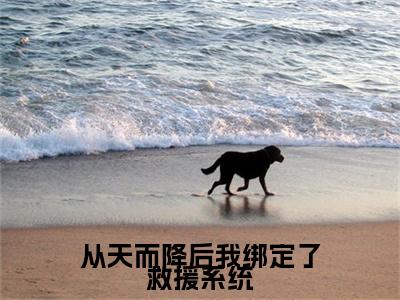 从天而降后我绑定了救援系统（江如）全文免费阅读无弹窗大结局-从天而降后我绑定了救援系统最新章节列表-笔趣阁