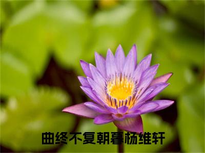 周栖林杨维轩（曲终不复朝暮杨维轩）全文在线阅读无弹窗大结局_曲终不复朝暮杨维轩全文无弹窗最新章节列表_笔趣阁