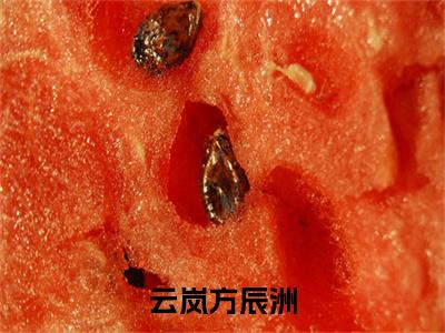 云岚方辰洲全文阅读-（云岚方辰洲）云岚方辰洲小说全文免费阅读_最新章节列表_笔趣阁