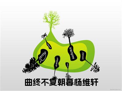 曲终不复朝暮杨维轩（周栖林杨维轩）最新章节在线阅读-周栖林杨维轩小说曲终不复朝暮杨维轩在哪里可以看