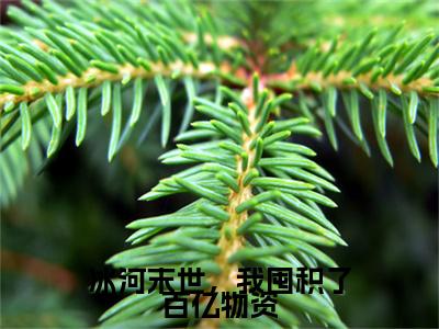 冰河末世，我囤积了百亿物资热门小说目录推荐张奕全文完整版阅读