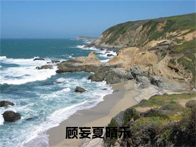 顾妄夏晴禾小说免费（顾妄夏晴禾免费阅读）顾妄夏晴禾全文免费阅读无弹窗大结局_顾妄夏晴禾小说最新章节列表