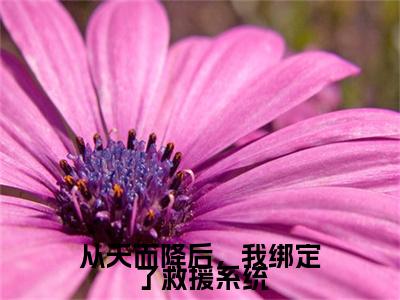 江如全文免费阅读无弹窗大结局-从天而降后，我绑定了救援系统最新章节列表免费阅读