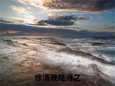 徐清晚陆浔之（徐清晚陆浔之全文在线阅读）-徐清晚陆浔之（徐清晚陆浔之）免费阅读