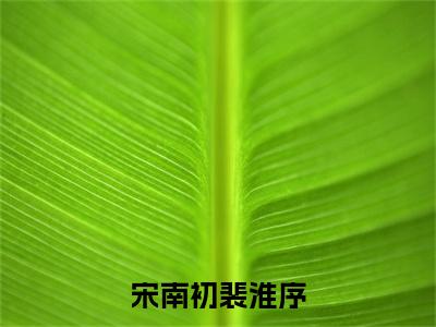 宋南初裴淮序小说（裴淮序宋南初）全文免费阅读无弹窗大结局_裴淮序宋南初小说最新章节列表