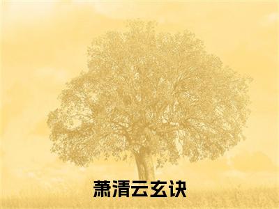 （萧清云玄诀）小说全文免费阅读无弹窗大结局_萧清云玄诀萧清云玄诀最新章节列表笔趣阁