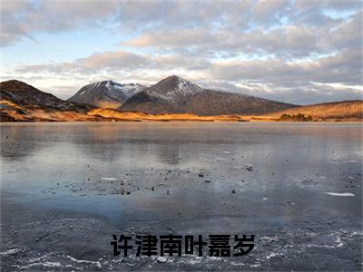 （许津南叶嘉岁）叶嘉岁许津南小说全文免费阅读无弹窗大结局_叶嘉岁许津南（许津南叶嘉岁）最新章节列表笔趣阁