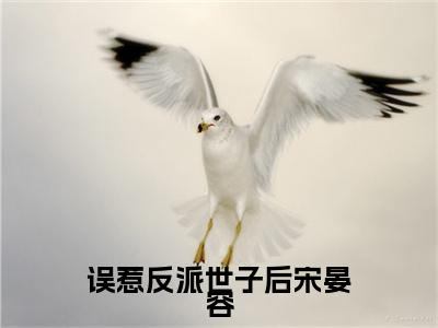 误惹反派世子后宋晏容（阮眠眠宋晏容）全文免费阅读无弹窗大结局_误惹反派世子后宋晏容全文大结局最新章节列表_笔趣阁