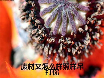 废材又怎么样照样吊打你最新章节（谭浮）小说推荐阅读-新书废材又怎么样照样吊打你精彩阅读