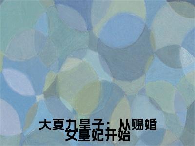 （热推新书）《大夏九皇子：从赐婚女皇妃开始》全文免费阅读无弹窗大结局_李龙鳞无弹窗全文阅读