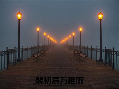 裴初辰方稚雨小说（方稚雨裴初辰）全文免费阅读无弹窗大结局_裴初辰方稚雨全文免费完结版阅读（方稚雨裴初辰）