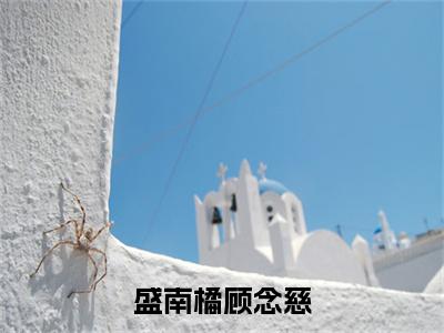 盛南橘顾念慈（盛南橘顾念慈）全文免费阅读-小说盛南橘顾念慈大结