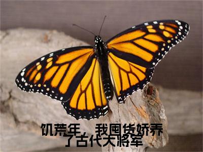 饥荒年，我囤货娇养了古代大将军最新热门小说-（叶苜苜）最新章节免费阅读