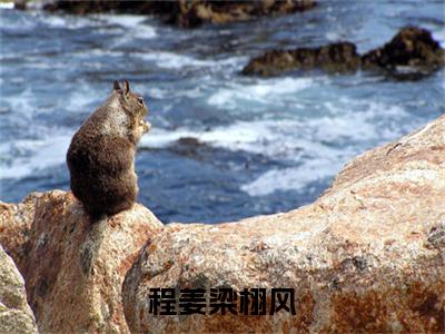 程姜梁栩风（程姜梁栩风）免费小说-（程姜梁栩风）完结版在线阅读