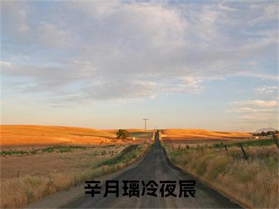 辛月璃冷夜宸（辛月璃冷夜宸）全文免费读无弹窗大结局_辛月璃冷夜宸免费小说辛月璃冷夜宸读无弹窗最新章节列表