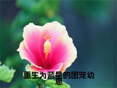 林岁岁郤聿怀大结局免费阅读重生为蓝星的团宠幼崽最新热点小说