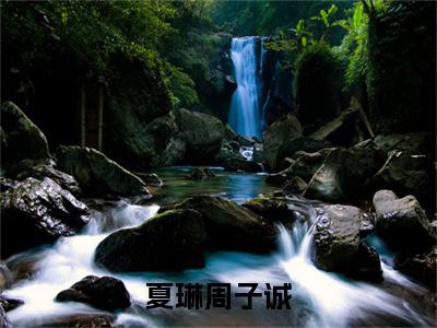 夏琳周子诚小说（周子诚夏琳）全文免费阅读_（周子诚夏琳）夏琳周子诚小说最新章节列表