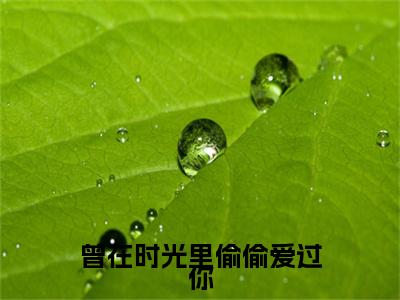 曾在时光里偷偷爱过你（姜晚意孟淮序）小说全文小说免费阅读_曾在时光里偷偷爱过你最新章节列表笔趣阁（姜晚意孟淮序）