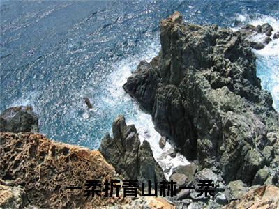 （热推新书）《一柔折青山林一柔》林一柔无弹窗阅读_一柔折青山林一柔最新章节列表_笔趣阁