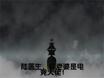 陆医生，你老婆是电竞大佬！（陆鹤辞温雁归）全文免费阅读_陆医生，你老婆是电竞大佬！（陆鹤辞温雁归）最新章节列表笔趣阁