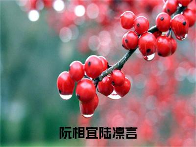 阮相宜陆凛言免费阅读无弹窗大结局，阮相宜陆凛言（最新全章节）全文阅读免费阅读-笔趣阁