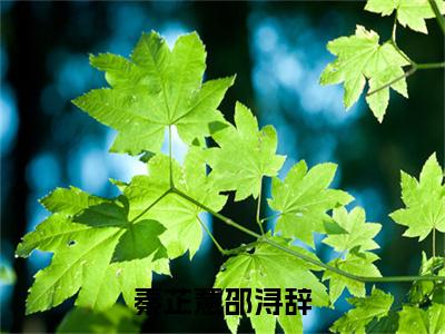 秦芷薏邵浔辞小说（秦芷薏邵浔辞）全文免费阅读无弹窗大结局_秦芷薏邵浔辞小说最新章节列表