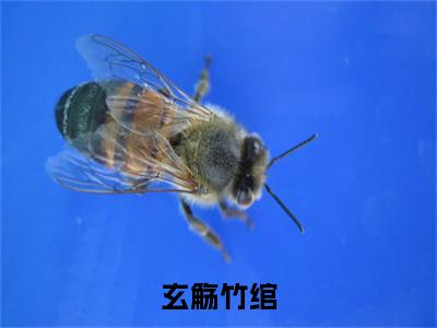 玄觞竹绾全文免费阅读_（竹绾玄觞免费阅读无弹窗）竹绾玄觞最新章节列表笔趣阁