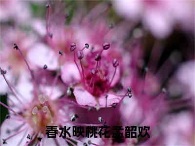 春水映桃花孟韶欢（孟韶欢）全网首发最新小说-主角孟韶欢全文在线免费阅读