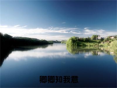 尤若初商婓（卿卿知我意最新全章节大结局）全文阅读