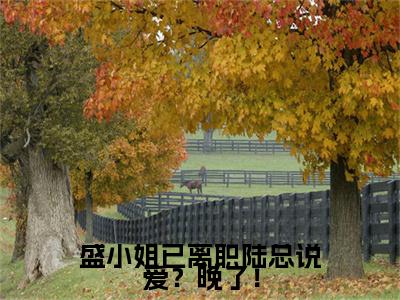 盛小姐已离职陆总说爱？晚了！陆霆枭盛眠：结局+番外txt（陆霆枭盛眠）全文番外免费在线阅读_盛小姐已离职陆总说爱？晚了！陆霆枭盛眠：结局+番外最新章节列表_笔趣阁（陆霆枭盛眠）