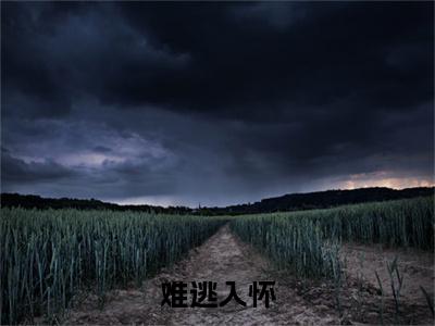 沈祈闻温允：难逃入怀结局+番外（沈祈闻温允）全文免费阅读无弹窗大结局_(沈祈闻温允：难逃入怀结局+番外后续大结局)沈祈闻温允最新章节列表_笔趣阁（沈祈闻温允：难逃入怀结局+番外）