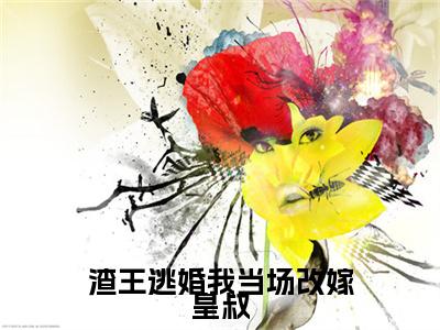 苏月婵萧玉珩渣王逃婚我当场改嫁皇叔番外（渣王逃婚我当场改嫁皇叔）TXT+后续+结局在线阅读