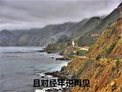 小说且对经年说再见小说已更新+番外篇章（许清清肖译）纯净阅读